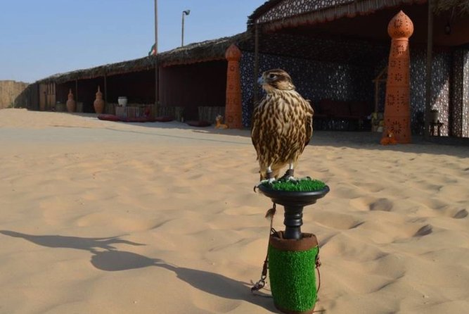 Dubai Desert Safari with Camel Riding, Sand Boarding,BBQ Dinner and 3 Live Shows - What the $97.69 price really covers
