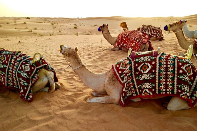 Dubai Desert Safari with Dinner - Henna, shisha, and photo stops