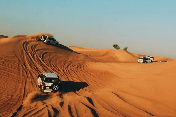Dubai Desert Safari with Dinner - Transport, timing, and group size