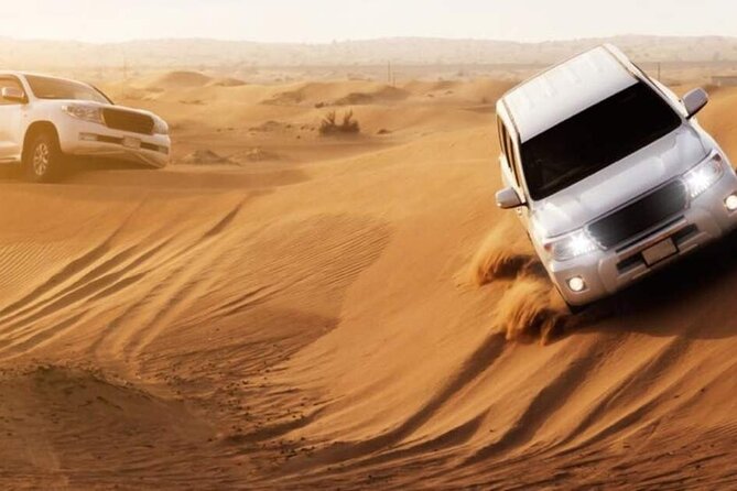 Dubai Desert Safari with Dinner - A fair look at the service