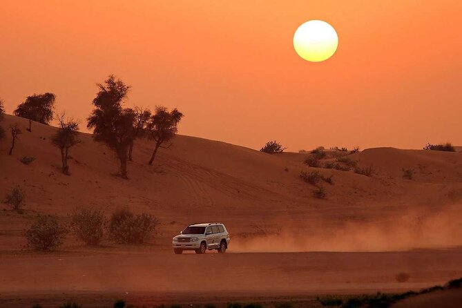 Dubai Desert Safari with Dinner - Who will enjoy this desert safari?