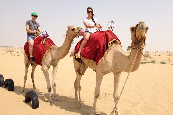 Dubai Desert Safari with Dinner, Camel Ride & Dune Bashing - Sunset photos from a high dune