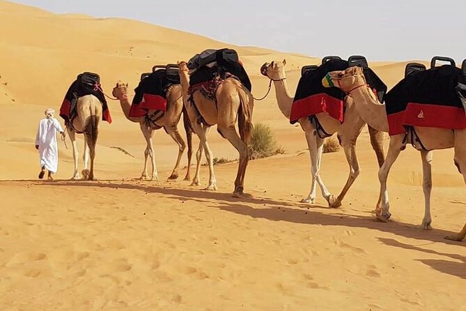 Dubai Desert Safari With Dune Bashing, Camel Ride & BBQ Dinner - Sandboarding and the brief camel ride