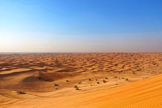 Dubai Desert Safari with Dune Bashing, Camel Rides & BBQ - Camp time: henna, costumes, shisha, and falconry
