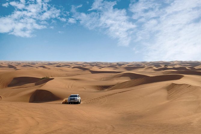 Dubai Desert Safari with Dune Bashing, Camel Rides & BBQ - Is $51 a good value?