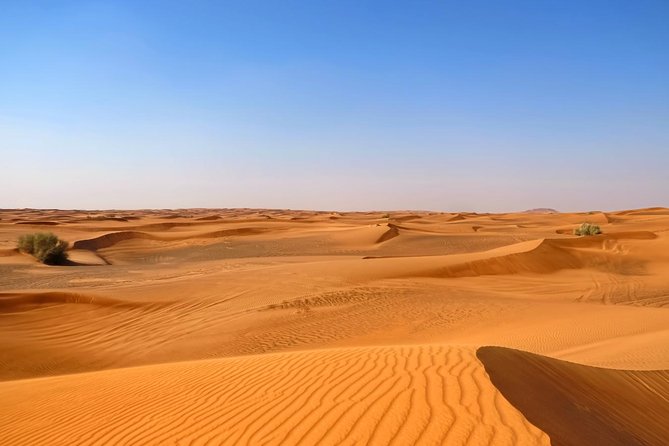 Dubai Desert Safari with Dune Bashing, Camel Rides & BBQ - The 30-minute dune-bashing run