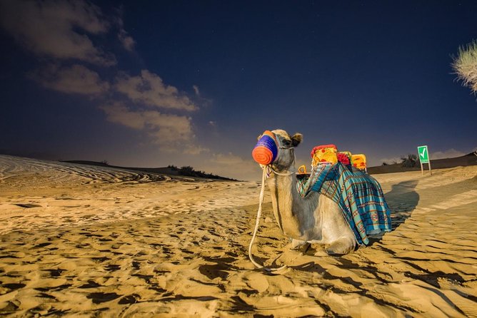 Dubai Desert Safari with Quad Bike, sandboarding, live show & BBQ - Dune bashing across the red sand