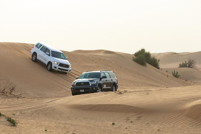 Dubai Desert Safari with Quads, BBQ Dinner, Camel ride, & Shows - Belly dancing, tanoura spinning, and fire performance