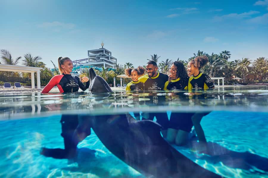 Dubai: Dolphin Encounter & Aquaventure Waterpark Ticket - Key points at a glance