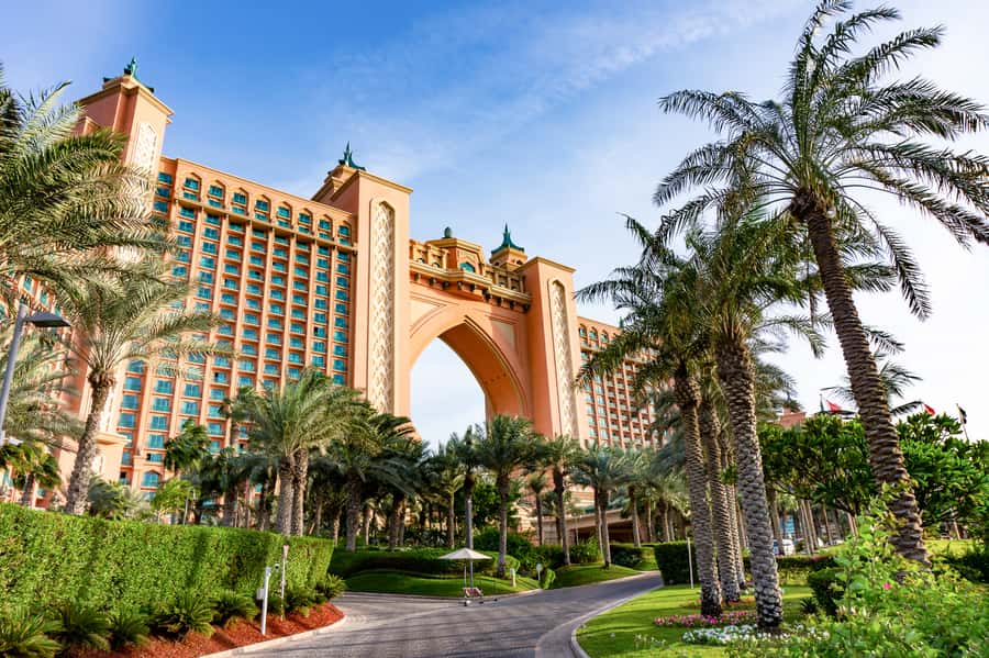 Dubai: Dolphin Encounter & Aquaventure Waterpark Ticket - The 15-minute briefing sets the tone