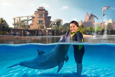 Dolphin Encounter & Aquaventure Waterpark Ticket