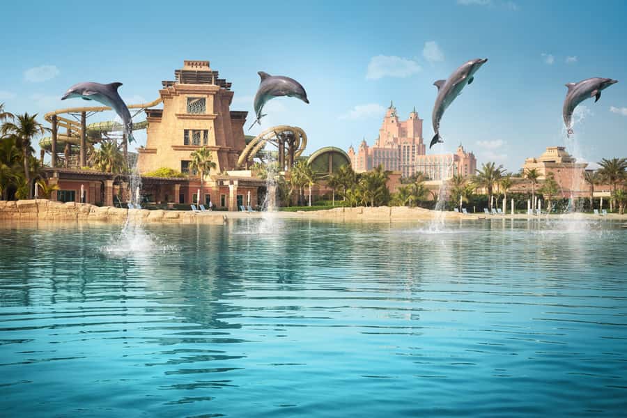 Dubai: Dolphin Encounter & Aquaventure Waterpark Ticket - The photo bill can change the value