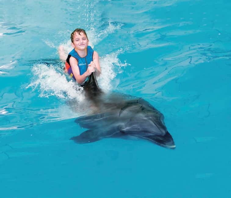 Dubai: Dubai Dolphinarium Dolphin, Seal & Bird Show Tickets - The Exotic Bird Show after the dolphins
