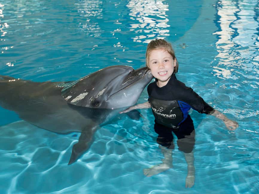 Dubai: Dubai Dolphinarium Dolphin, Seal & Bird Show Tickets - Who will enjoy this most