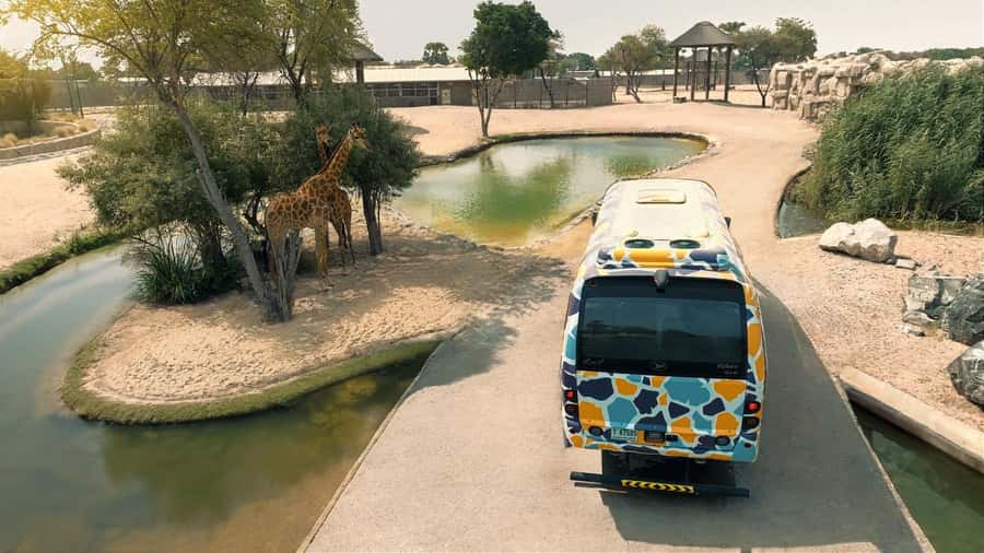 Dubai: Dubai Safari Park Entry Pass - Explorer Village: the best upgrade for close animal views