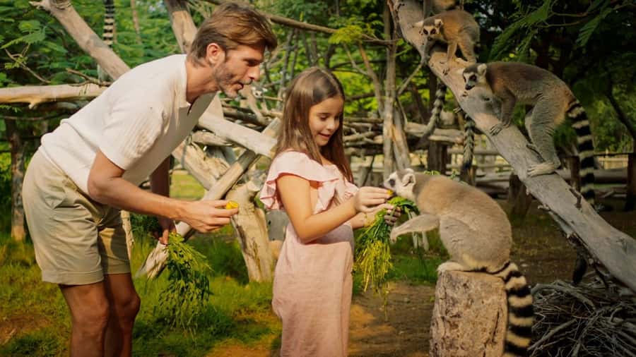 Dubai: Dubai Safari Park Entry Pass - Asian Village and the Asian Village Theatre
