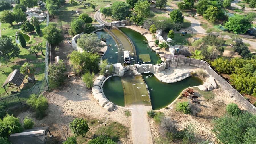 Dubai: Dubai Safari Park Entry Pass - Heat, shade, and animal activity