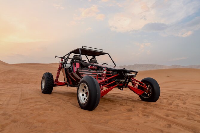 Dubai Dune Buggy Safari Tour in Red Dunes Options - Group size, guides, and the service you can expect