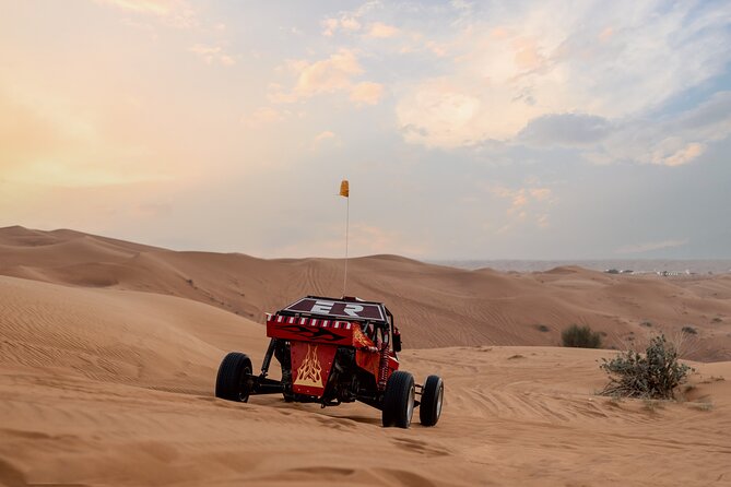 Dubai Dune Buggy Safari Tour in Red Dunes Options - Who will enjoy this desert outing most?