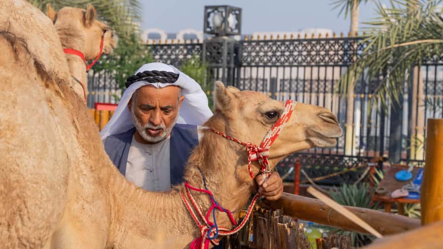Dubai: Emirati Cultural Experience with Emirati Meal - Starting at the Sheikh Mohammed Centre