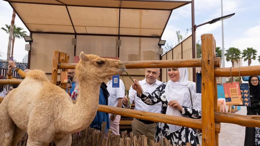 Dubai: Emirati Cultural Experience with Emirati Meal - Final verdict: book for culture, not speed