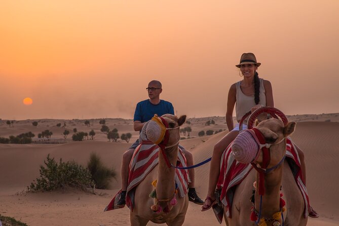 Dubai: Evening Camel Caravan, Bedouin Dinner at Al Marmoom Oasis - Key points to know before booking
