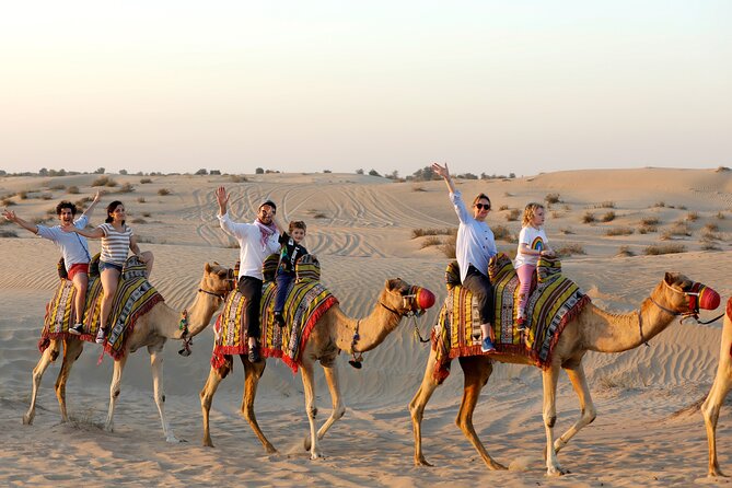 Dubai: Evening Camel Caravan, Bedouin Dinner at Al Marmoom Oasis - Riding with the camel caravan