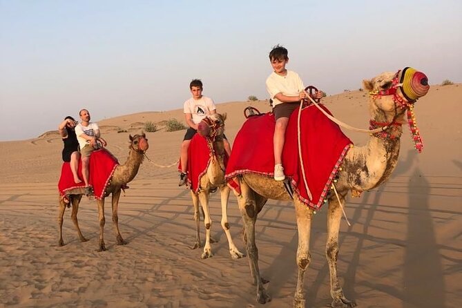 Dubai Evening Desert Safari - The $100 price works best when you use the whole package