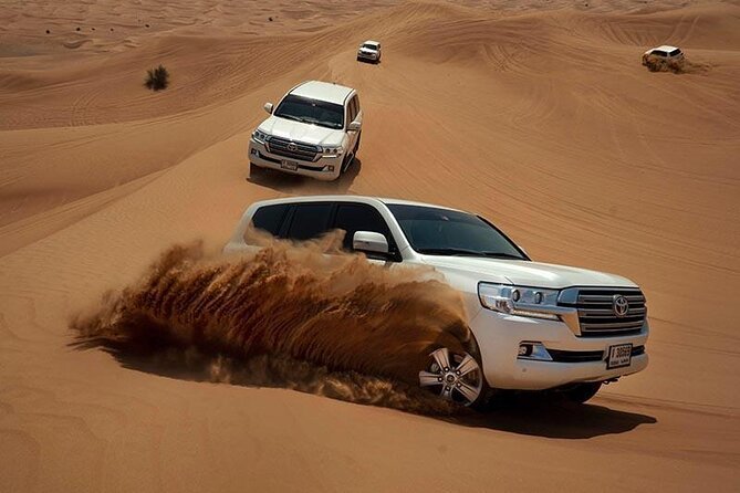 Dubai Evening Desert Safari & BBQ Dinner - The camel ride: a quick taste of desert travel