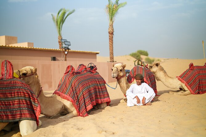 Dubai Evening Desert Safari BBQ Dinner & Transfer to Noble Camp - Nine shows and a fire finale