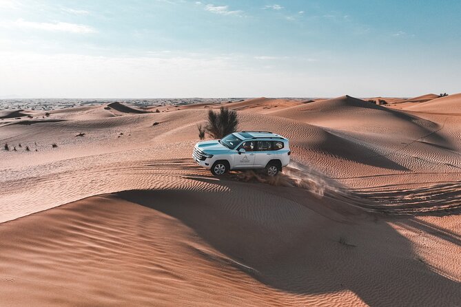Dubai Evening Desert Safari: Sandboarding, BBQ, Camel Ride & more - What the $109 price really covers
