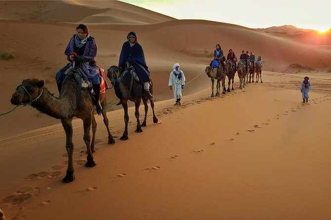 Dubai Evening Desert Safari with ATV Quad Bike & Dinner - Camel riding and a Bedouin-style camp