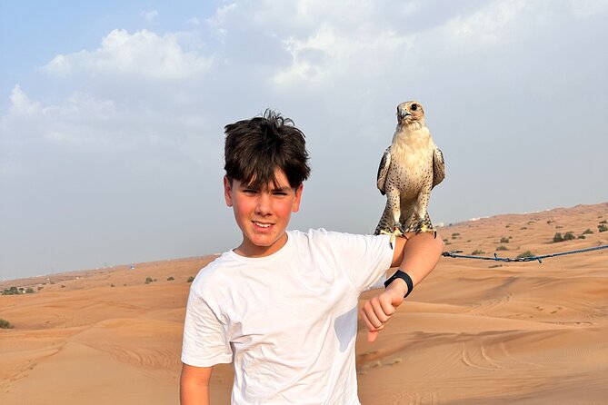 Dubai Evening Desert Safari with Quad bike, Dinner and Show - From Dubai pickup to the red dunes