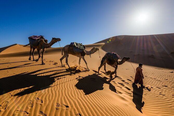 Dubai Evening Desert Safari with RedDune, sandboarding, live show - Sandboarding and sunset photography