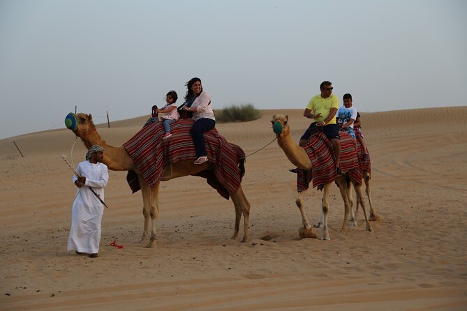 Dubai Evening Desert Safari with Thrilling Dune Buggy Adventure - Dinner and four kinds of live entertainment