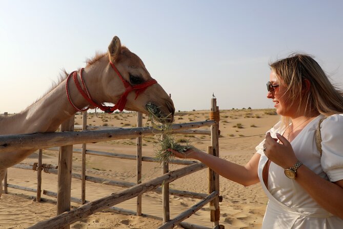 Dubai Evening Heritage Safari by Vintage G Class Al Marmoom Oasis - Campfire stories and telescope stargazing