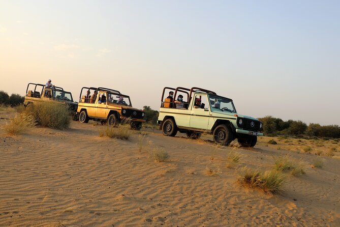 Dubai Evening Heritage Safari by Vintage G Class Al Marmoom Oasis - Reaching Al Marmoom after the 50-minute transfer
