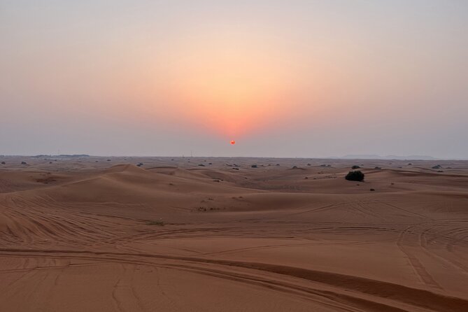 Dubai Evening Red Dune Safari With 30 Mins ATV, BBQ, Live Shows - Sandboarding, camels, and a short cultural pause