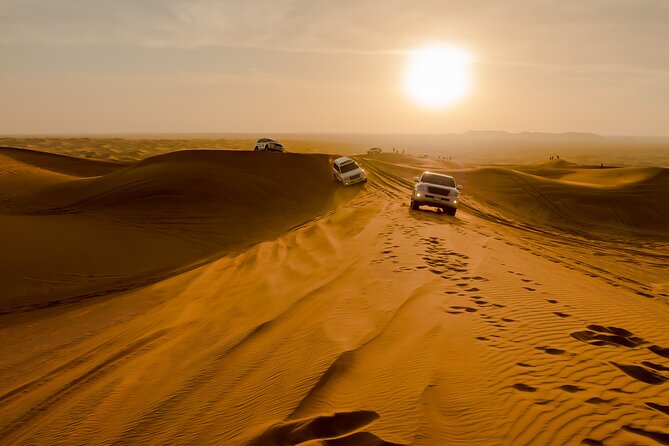 Dubai Exclusive Private Evening Desert Safari With BBQ Dinner - Who will enjoy this private evening safari