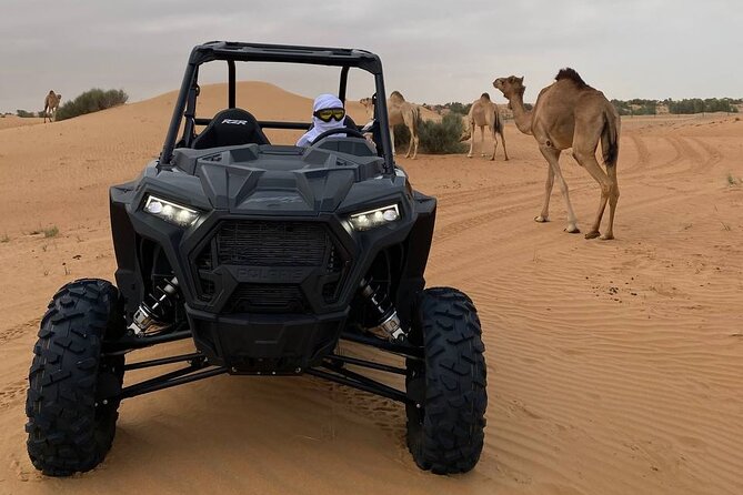 Dubai: Extreme Red Dune Buggy Desert Safari Adventure - How the small group affects the experience