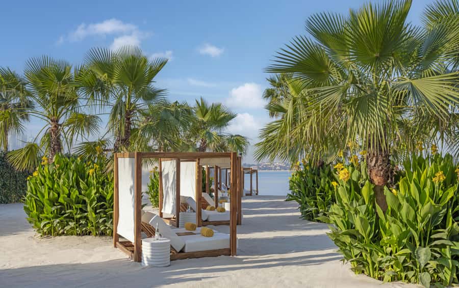 Dubai: Fairmont the Palm Pool and Beach Access - Key points to know before you book