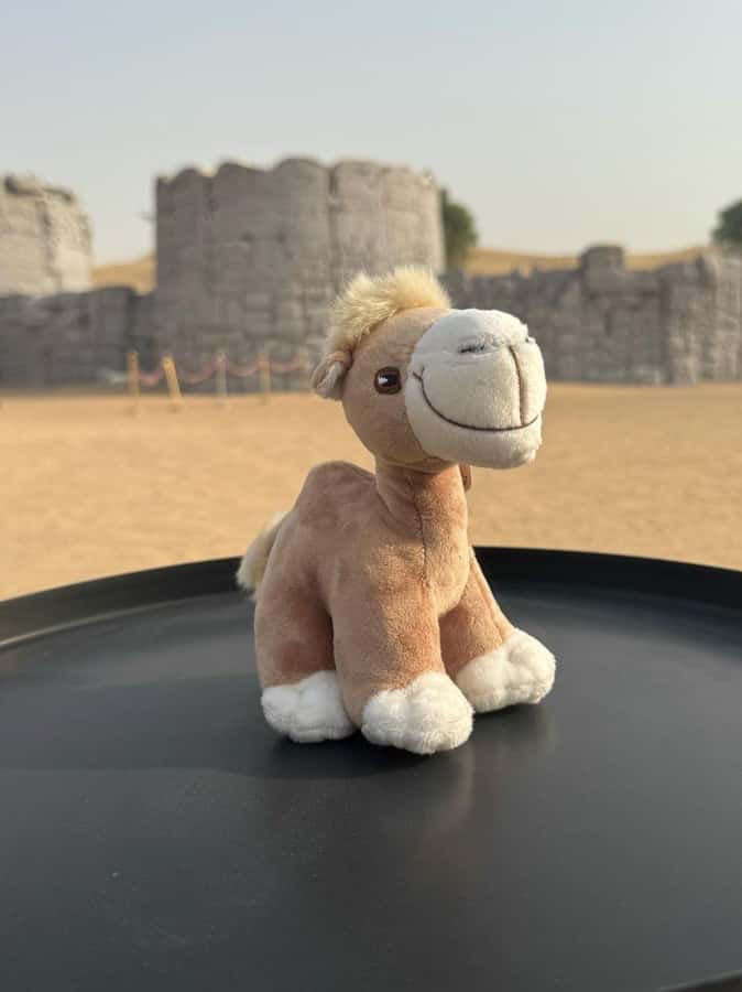 Dubai Fort Lisaili Desert: Quad, Buggy Ride & Free Souvenir - Dinner beneath the camp lights