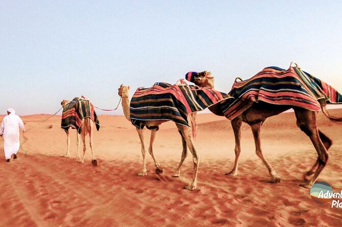 Dubai Full-Day Desert Safari Experience with Live BBQ Dinner - The afternoon pickup sets the tone