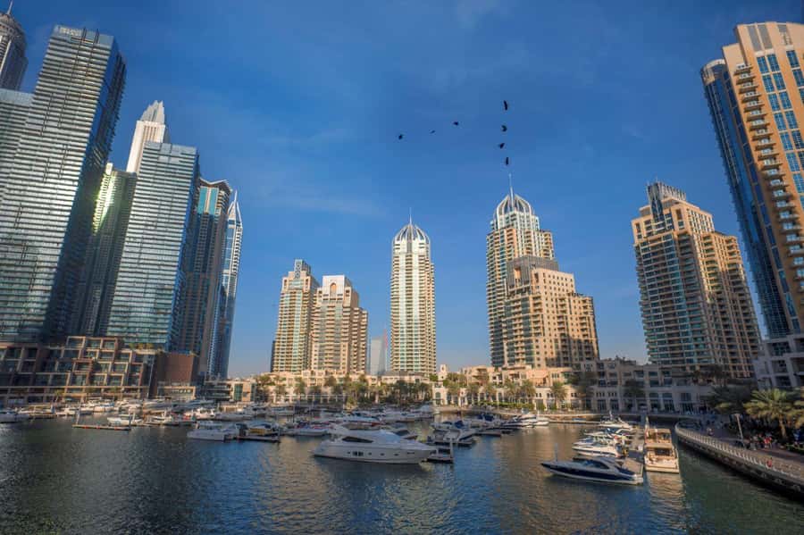 Dubai Full-Day Tour: Mosque, Souks, Burj Khalifa photo stop - Key points at a glance