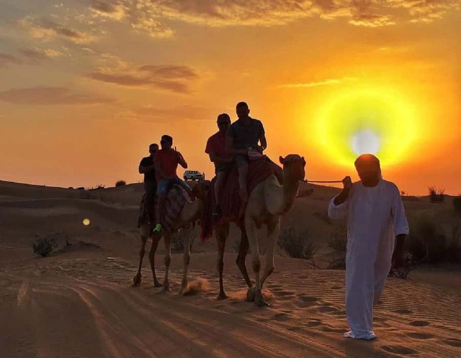 Dubai: Guided Dune Buggy Driving Experience in the Desert - What $219 means for a group of four