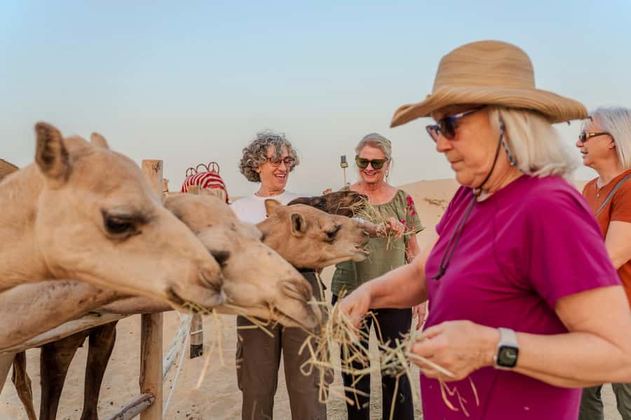 Dubai: Half-Day Camel Trekking with Al Marmoom Breakfast - Arabic coffee, sweets, and Emirati breakfast