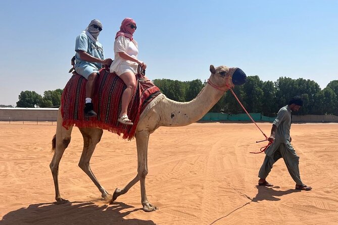 Dubai: Half-Day Desert Safari ,Camels & Sunset - The camel ride is brief but gives the outing its character