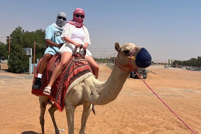 Dubai: Half-Day Desert Safari ,Camels & Sunset - Sunset is the payoff for the timing
