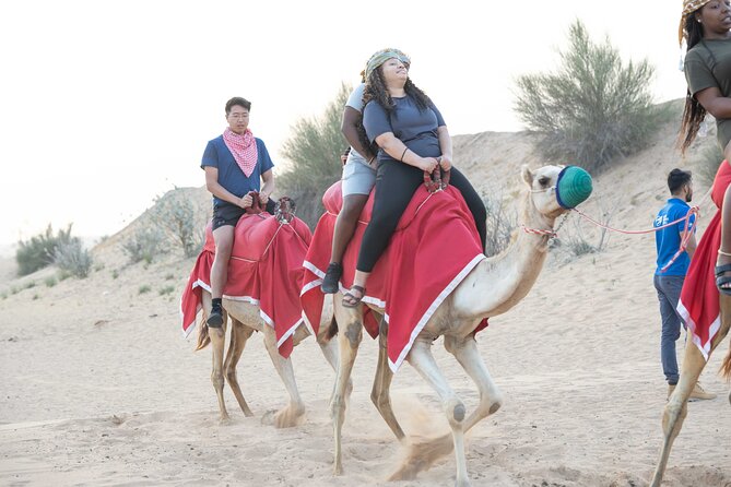 Dubai Half-day Red Dunes bashing with Sandboarding, Camel &Falcon - Why the early start works so well