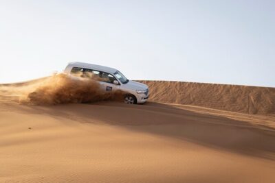 Dubai Half-day Red Dunes bashing with Sandboarding, Camel &Falcon